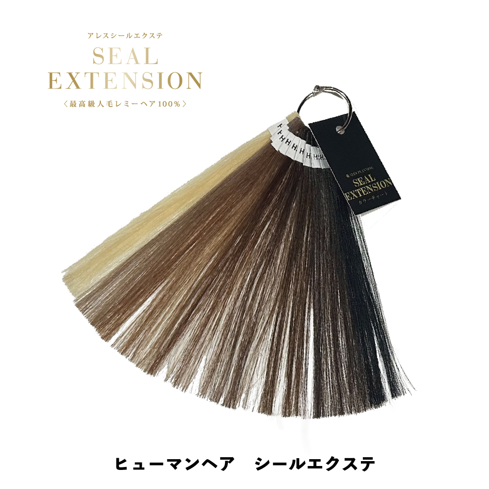 ヒューマンシールエクステヘアカラーチャート